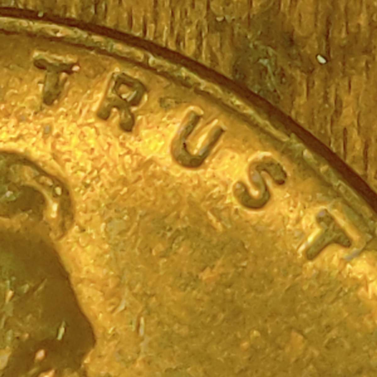 1955-Wheat-Penny-I-Really-Don't-Know-What-To-Focus-My-Attention-On.